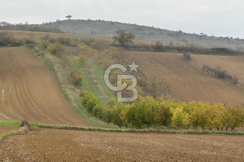 Tekirdağ Süleymanpaşa Otmanlı’da 4.726m2 Satılık Tarla