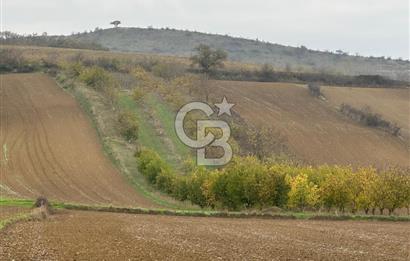 Tekirdağ Süleymanpaşa Otmanlı’da 4.726m2 Satılık Tarla