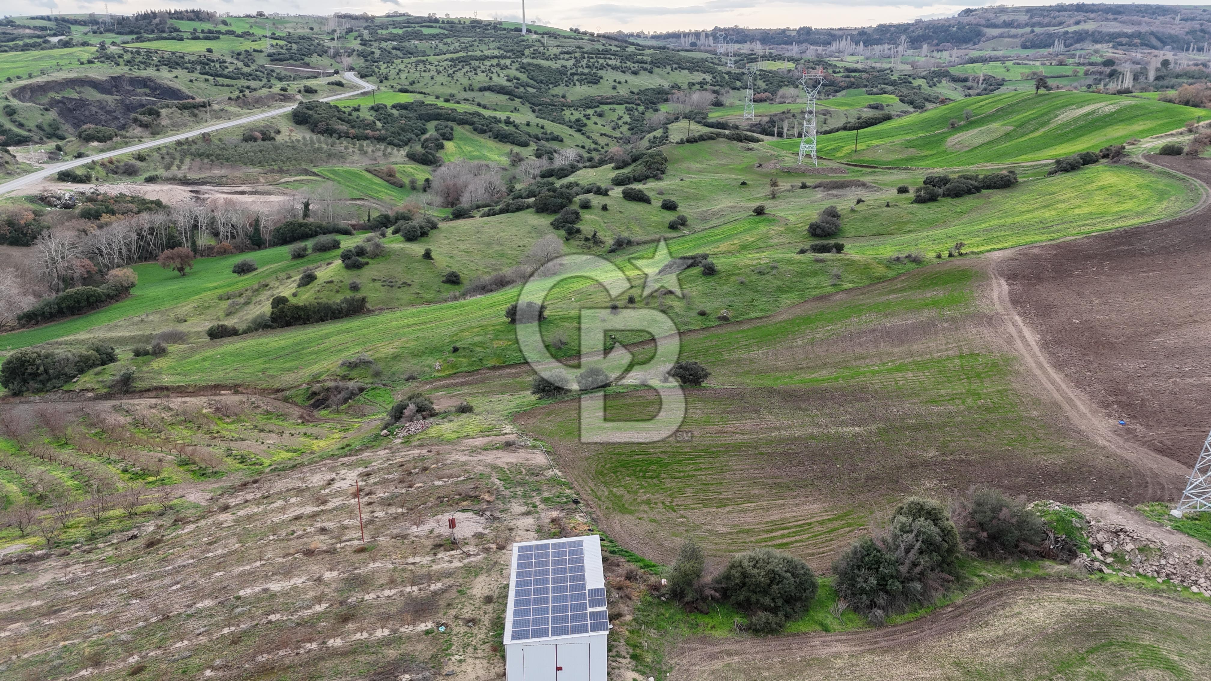 ÇANAKKALE LAPSEKİ SUBAŞI KÖYÜ SATILIK TARLA