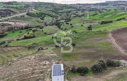 ÇANAKKALE LAPSEKİ SUBAŞI KÖYÜ SATILIK TARLA
