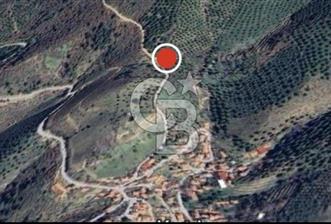 Burhaniye Kırtık Köyü'nde Yatırımlık Satılık Tarla - 1 - 326054