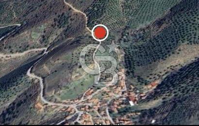 Burhaniye Kırtık Köyü'nde Yatırımlık Satılık Tarla