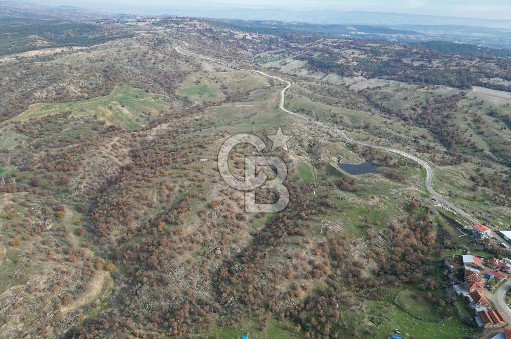 CB OPİA'DAN "SATILIK 260.000 m² GES ARAZİSİ"