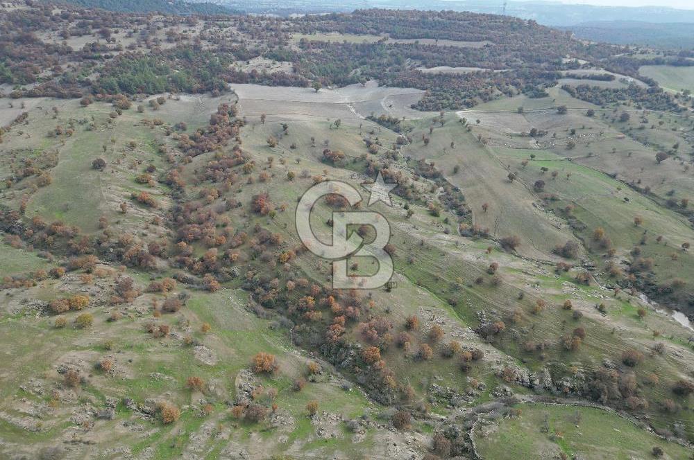 CB OPİA'DAN "SATILIK 260.000 m² GES ARAZİSİ"