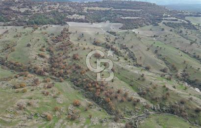 CB OPİA'DAN "SATILIK 260.000 m² GES ARAZİSİ"