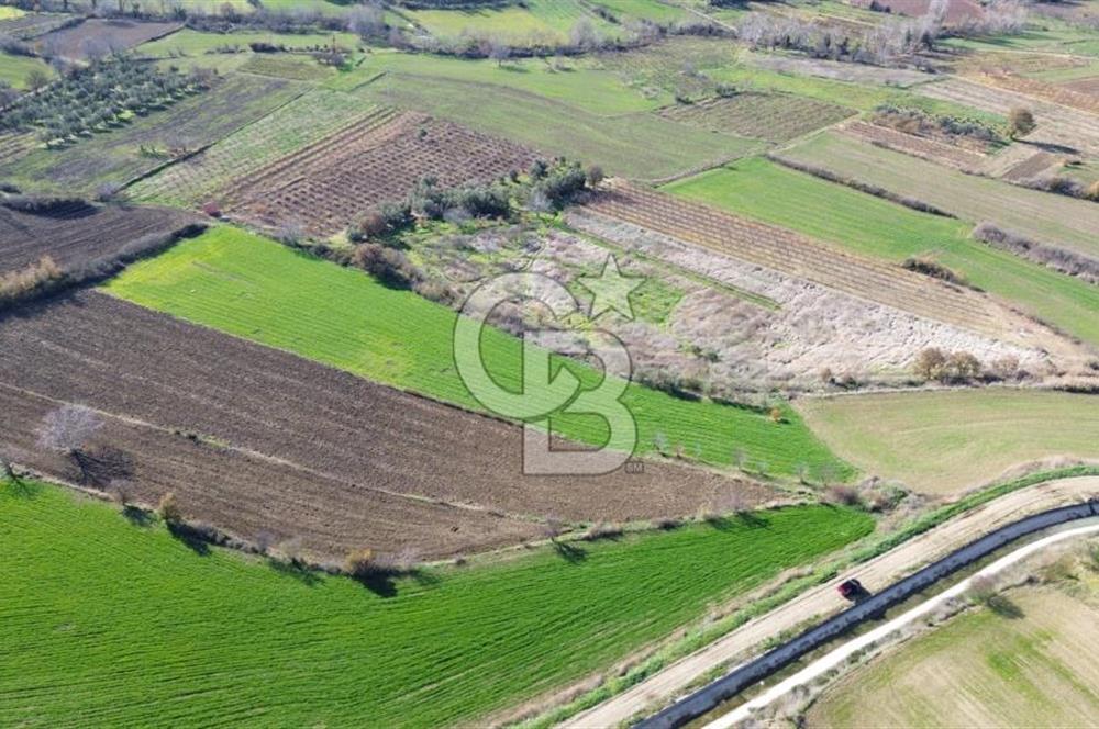 ÇANAKKALE MERKEZ MUSAKÖY'DE SATILIK TARLA