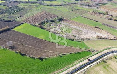 ÇANAKKALE MERKEZ MUSAKÖY'DE SATILIK TARLA