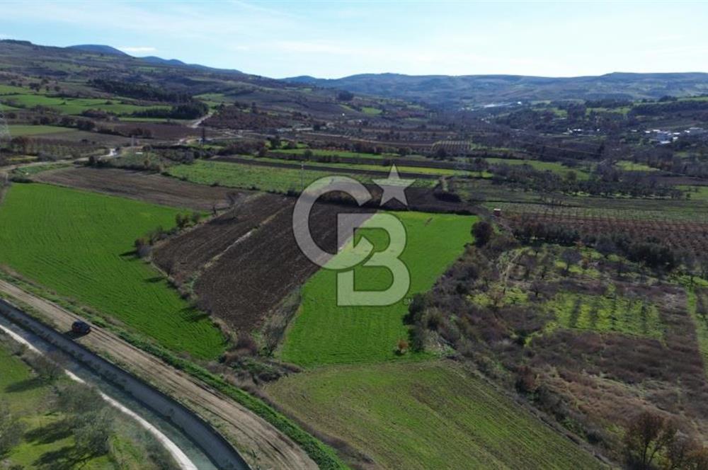 ÇANAKKALE MERKEZ MUSAKÖY'DE SATILIK TARLA