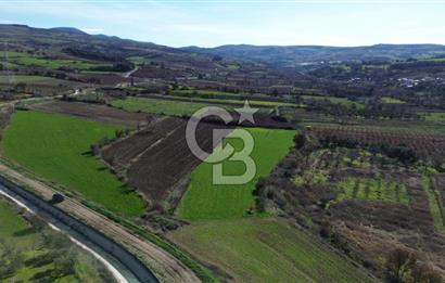 ÇANAKKALE MERKEZ MUSAKÖY'DE SATILIK TARLA