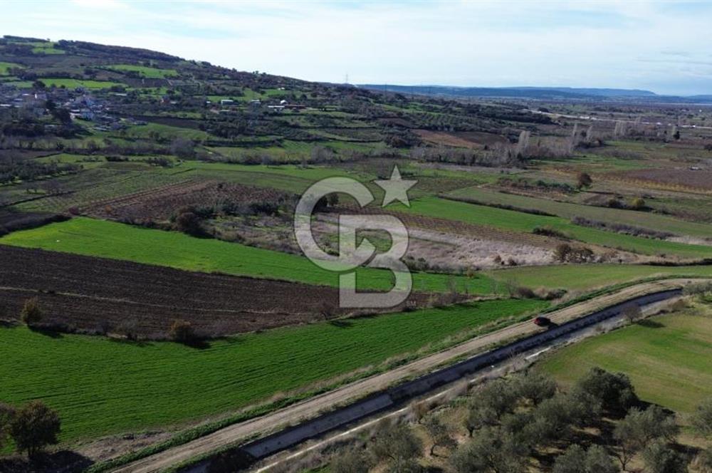 ÇANAKKALE MERKEZ MUSAKÖY'DE SATILIK TARLA