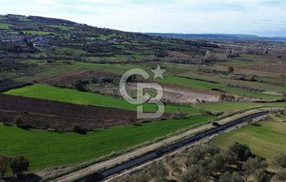 ÇANAKKALE MERKEZ MUSAKÖY'DE SATILIK TARLA