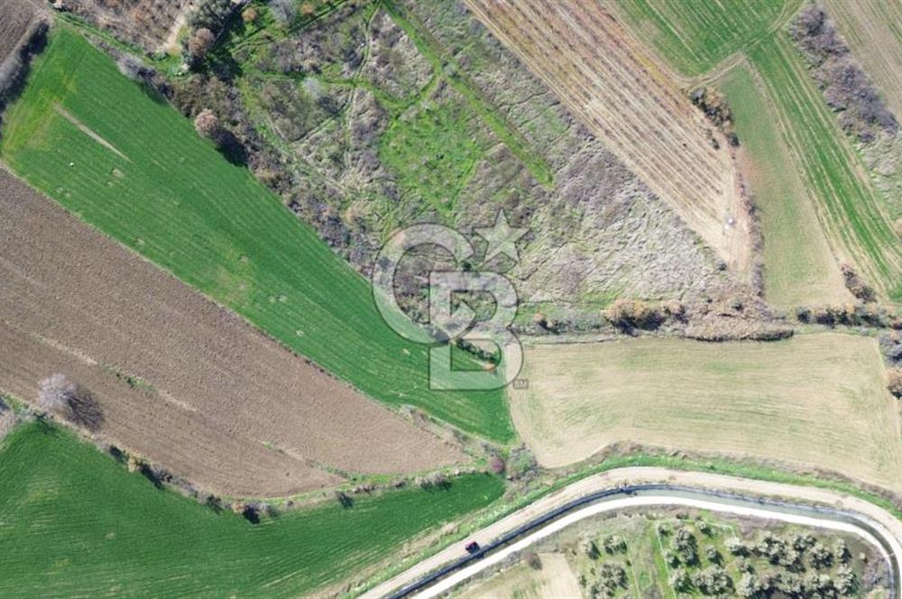ÇANAKKALE MERKEZ MUSAKÖY'DE SATILIK TARLA