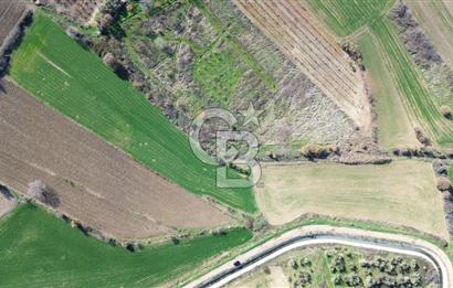 ÇANAKKALE MERKEZ MUSAKÖY'DE SATILIK TARLA