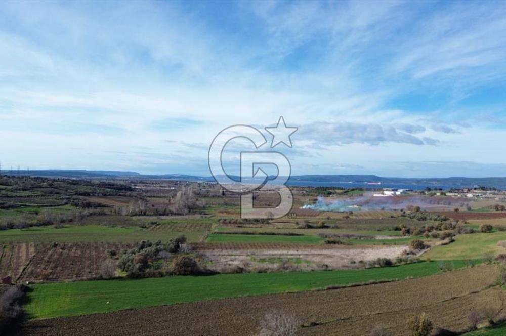 ÇANAKKALE MERKEZ MUSAKÖY'DE SATILIK TARLA