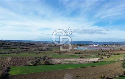ÇANAKKALE MERKEZ MUSAKÖY'DE SATILIK TARLA