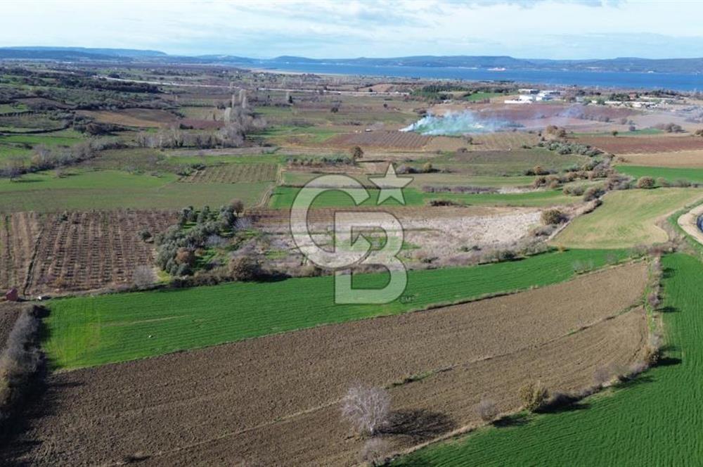 ÇANAKKALE MERKEZ MUSAKÖY'DE SATILIK TARLA