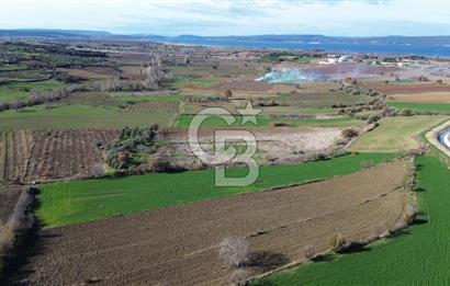 ÇANAKKALE MERKEZ MUSAKÖY'DE SATILIK TARLA