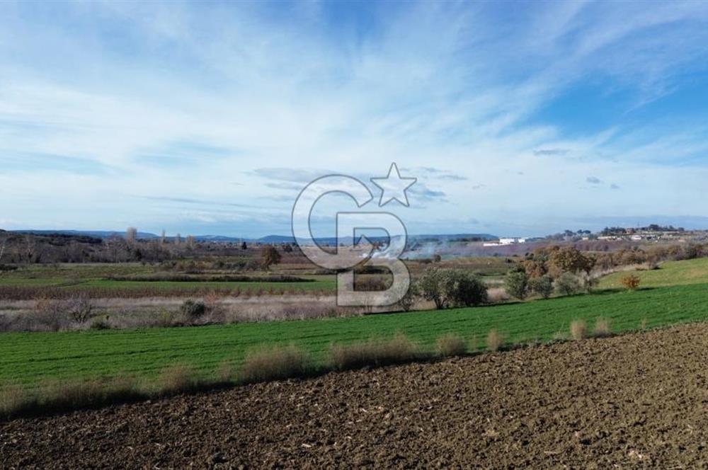 ÇANAKKALE MERKEZ MUSAKÖY'DE SATILIK TARLA