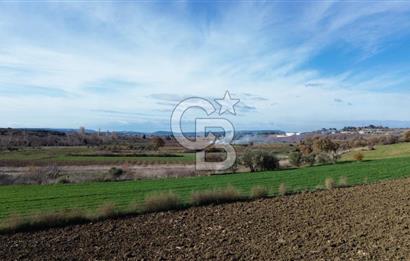 ÇANAKKALE MERKEZ MUSAKÖY'DE SATILIK TARLA