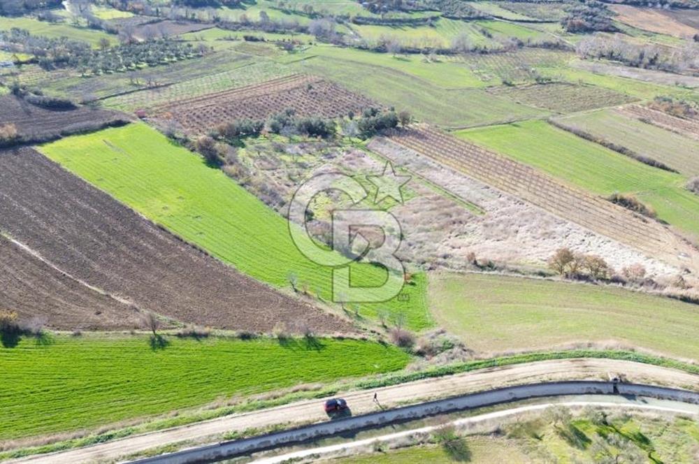 ÇANAKKALE MERKEZ MUSAKÖY'DE SATILIK TARLA
