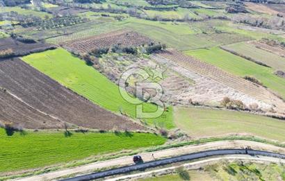 ÇANAKKALE MERKEZ MUSAKÖY'DE SATILIK TARLA