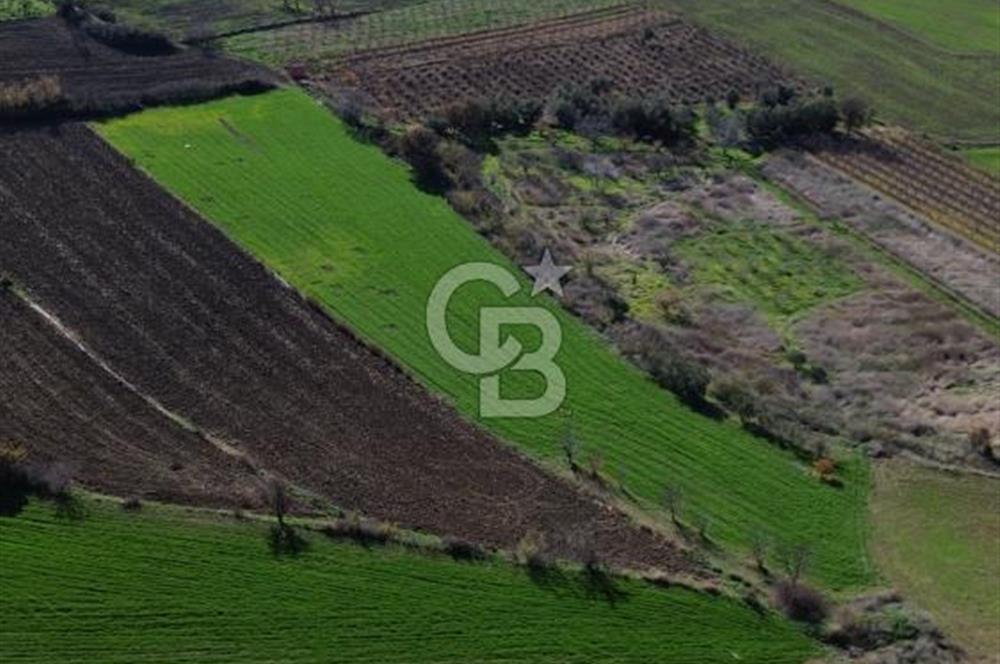 ÇANAKKALE MERKEZ MUSAKÖY'DE SATILIK TARLA