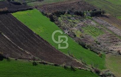 ÇANAKKALE MERKEZ MUSAKÖY'DE SATILIK TARLA