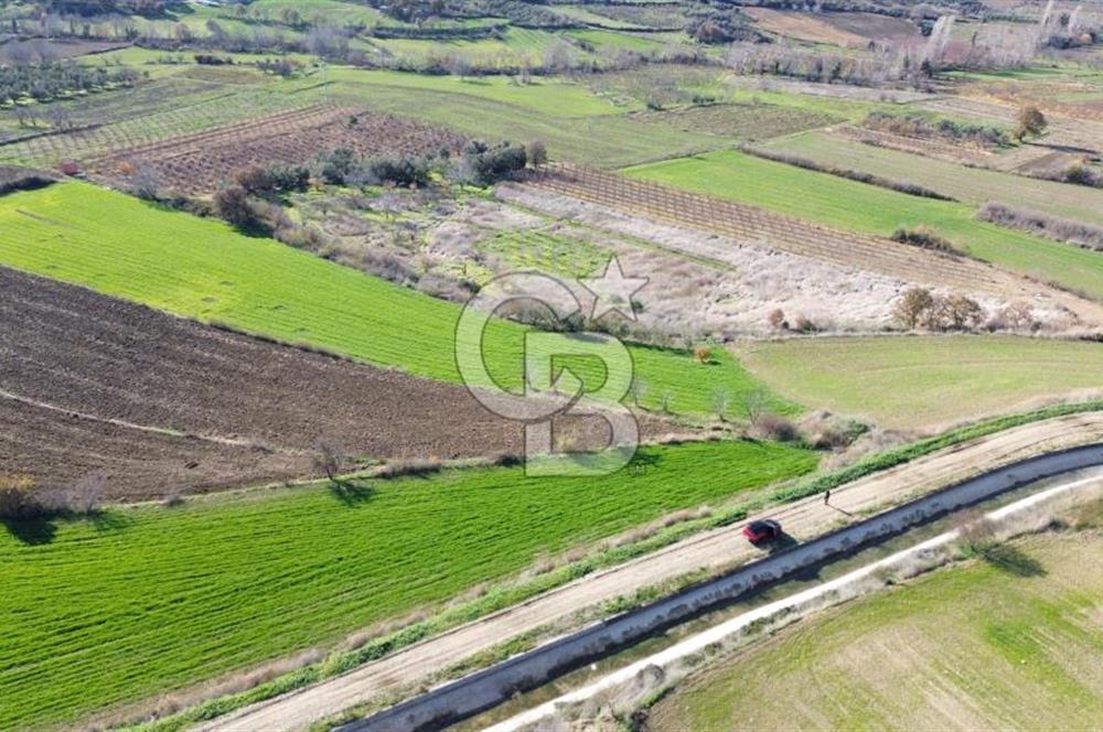 ÇANAKKALE MERKEZ MUSAKÖY'DE SATILIK TARLA