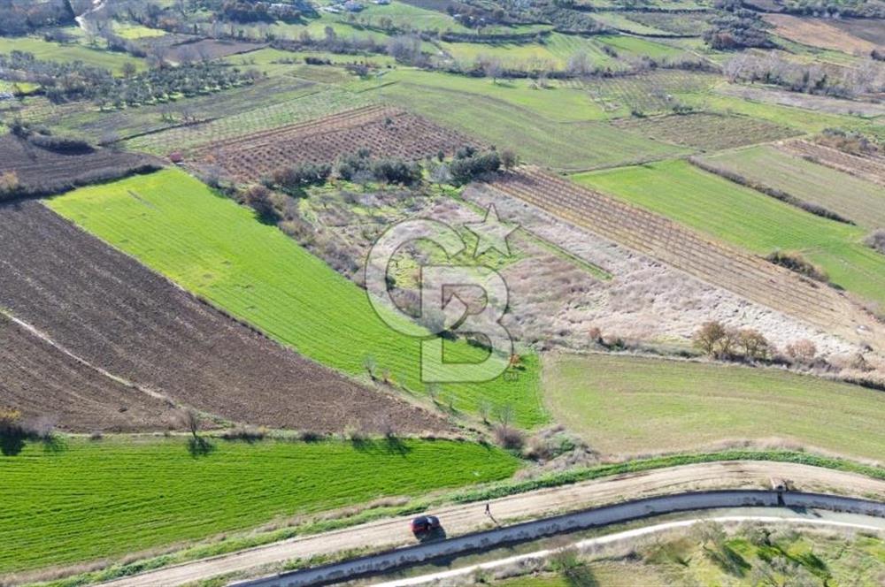 ÇANAKKALE MERKEZ MUSAKÖY'DE SATILIK TARLA
