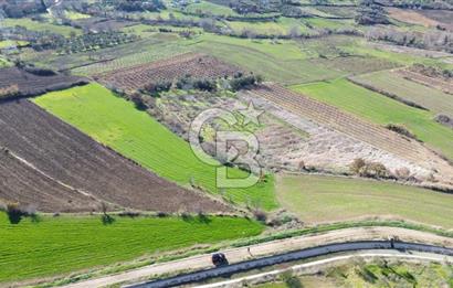 ÇANAKKALE MERKEZ MUSAKÖY'DE SATILIK TARLA