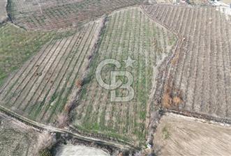 HONAZ PINARKENT YOLU ÜZERİNDE SATILIK BAHÇE - 7 - 326060