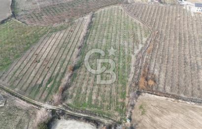 HONAZ PINARKENT YOLU ÜZERİNDE SATILIK BAHÇE