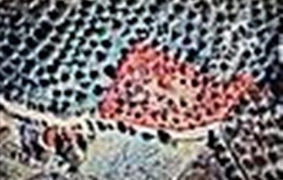 Burhaniye Kırtık Köyünde Satılık Fıstık Çamlığı