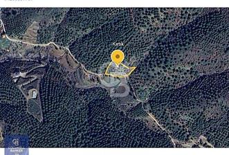 Burhaniye Kırtık Köyünde Satılık Fıstık Çamlığı - 2 - 326042