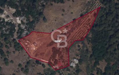 Antalya Kemer Ovacık Köyünde Yatırımlık Satılık Arsa