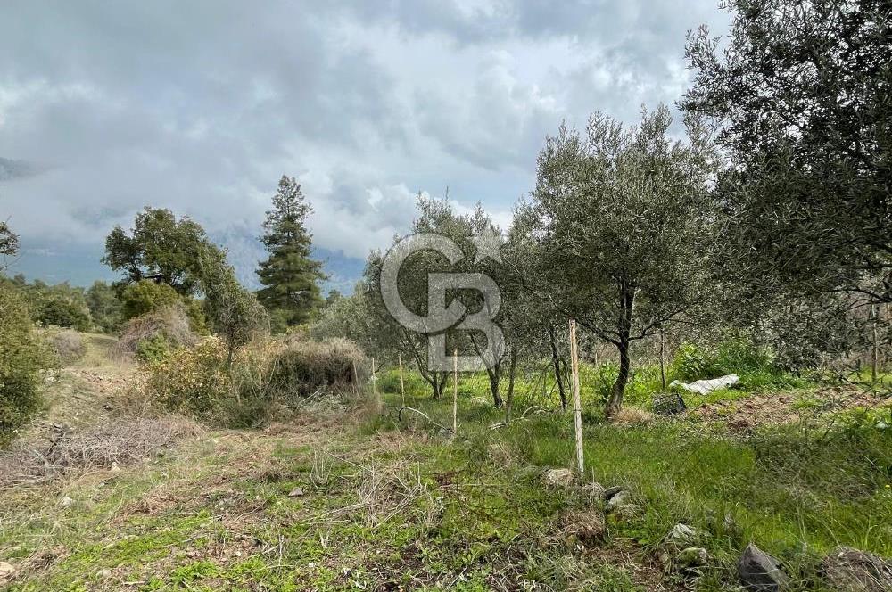 Antalya Kemer Ovacık Köyünde Yatırımlık Satılık Arsa