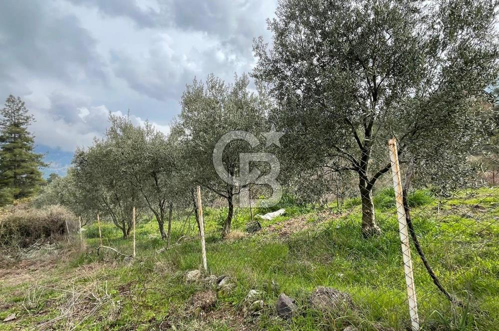 Antalya Kemer Ovacık Köyünde Yatırımlık Satılık Arsa