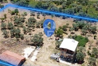 Kemalpaşa Vişneli Köyünde 13.640 m² Satılık Çiftlik  - 1 - 326106