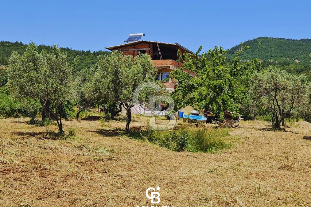 Kemalpaşa Vişneli Köyünde 13.640 m² Satılık Çiftlik 