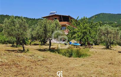 Kemalpaşa Vişneli Köyünde 13.640 m² Satılık Çiftlik 