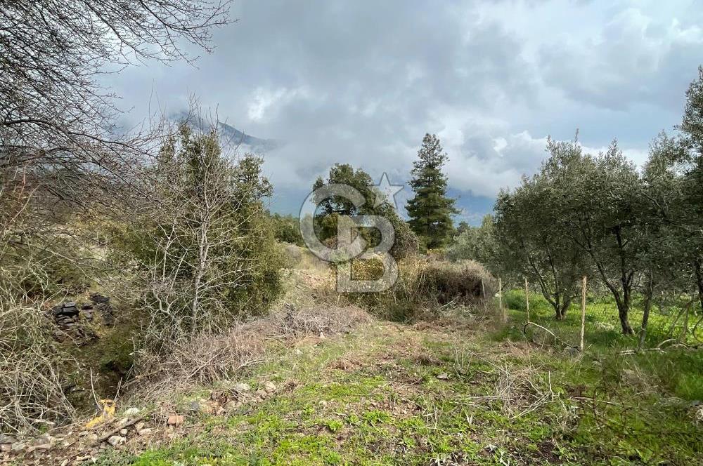 Antalya Kemer Ovacık Köyünde Yatırımlık Satılık Arsa