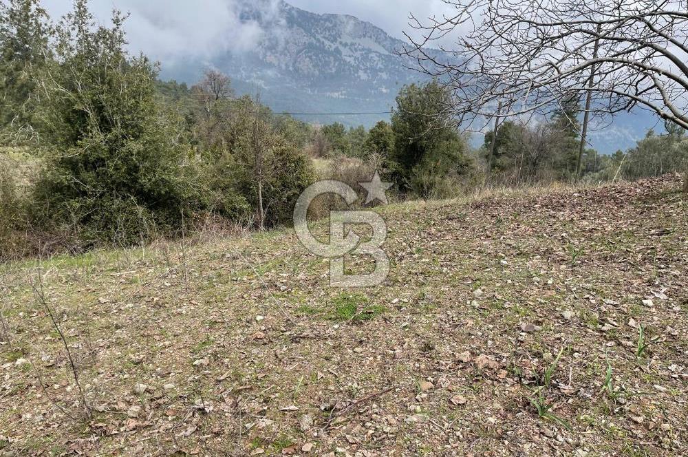 Antalya Kemer Ovacık Köyünde Yatırımlık Satılık Arsa