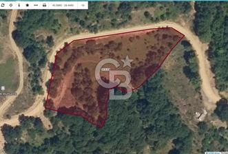 YALOVA ALTINOVA ÖRENCİK KÖYÜ 5509 M2 TARIMA UYGUN TARLA ! - 3 - 326109