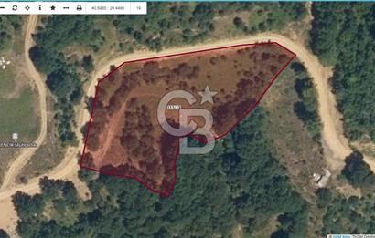 YALOVA ALTINOVA ÖRENCİK KÖYÜ 5509 M2 TARIMA UYGUN TARLA !