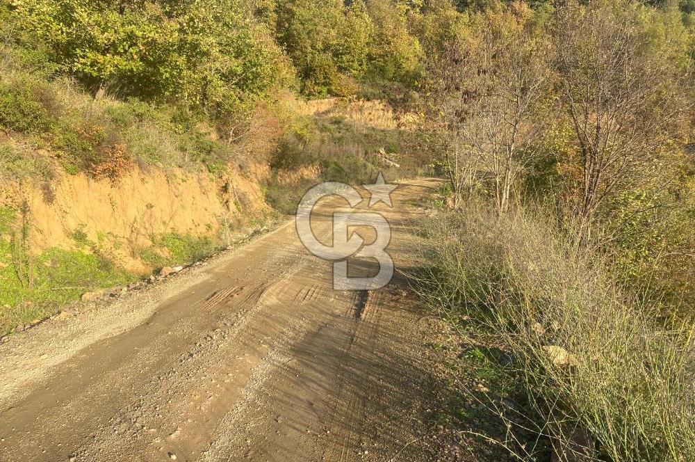 YALOVA ALTINOVA ÖRENCİK KÖYÜ 5509 M2 TARIMA UYGUN TARLA !