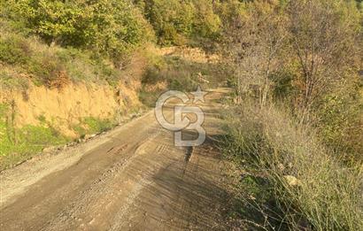 YALOVA ALTINOVA ÖRENCİK KÖYÜ 5509 M2 TARIMA UYGUN TARLA !