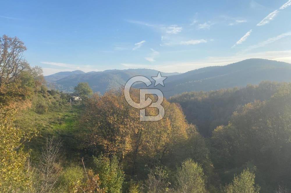 YALOVA ALTINOVA ÖRENCİK KÖYÜ 5509 M2 TARIMA UYGUN TARLA !