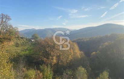 YALOVA ALTINOVA ÖRENCİK KÖYÜ 5509 M2 TARIMA UYGUN TARLA !