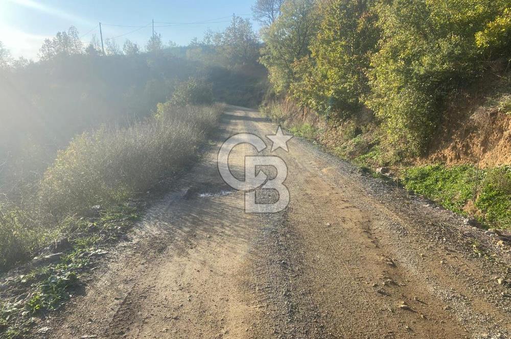 YALOVA ALTINOVA ÖRENCİK KÖYÜ 5509 M2 TARIMA UYGUN TARLA !