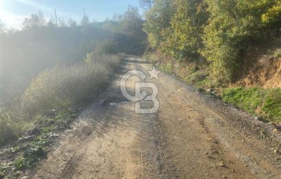 YALOVA ALTINOVA ÖRENCİK KÖYÜ 5509 M2 TARIMA UYGUN TARLA !